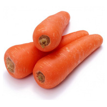 China natural fresh carrots for sale